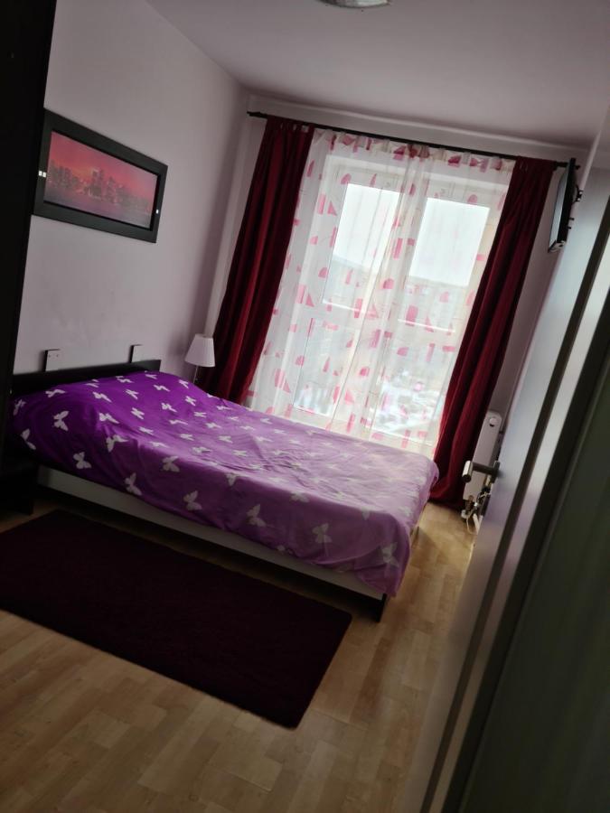 Jolly Apartment Брашов Екстер'єр фото
