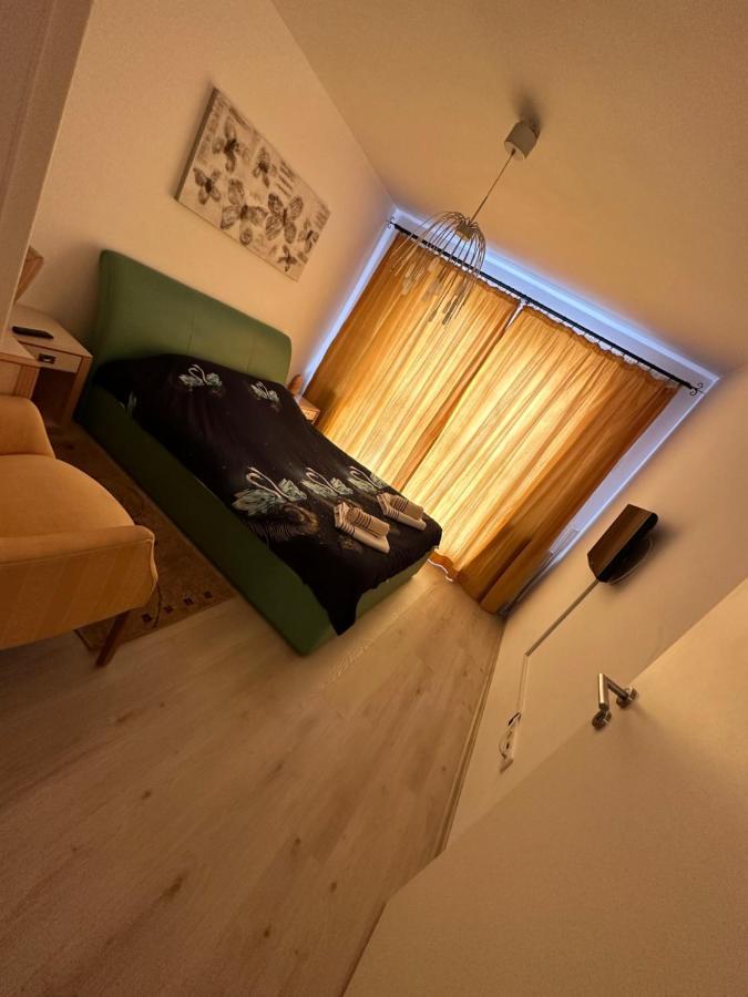 Jolly Apartment Брашов Екстер'єр фото
