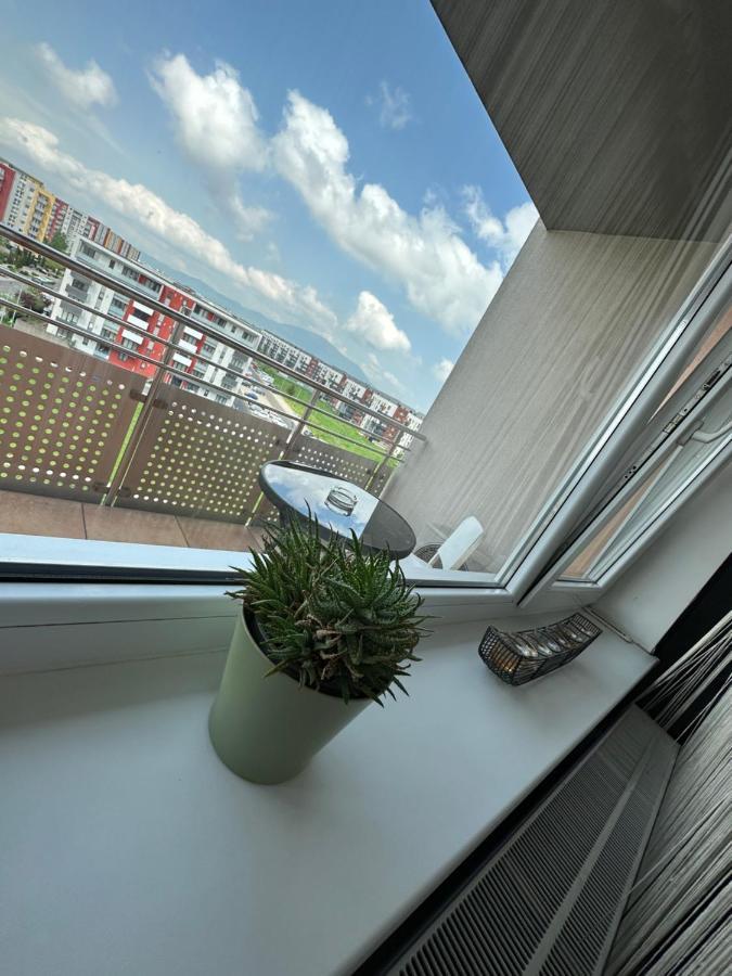 Jolly Apartment Брашов Екстер'єр фото